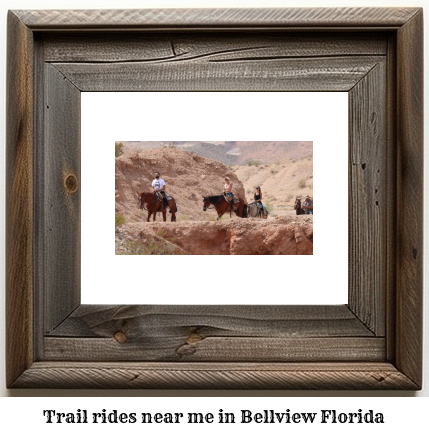 trail rides near me in Bellview, Florida